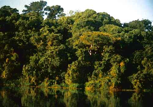 05Parklandschaft_CampoMurao_Brasilien.jpg